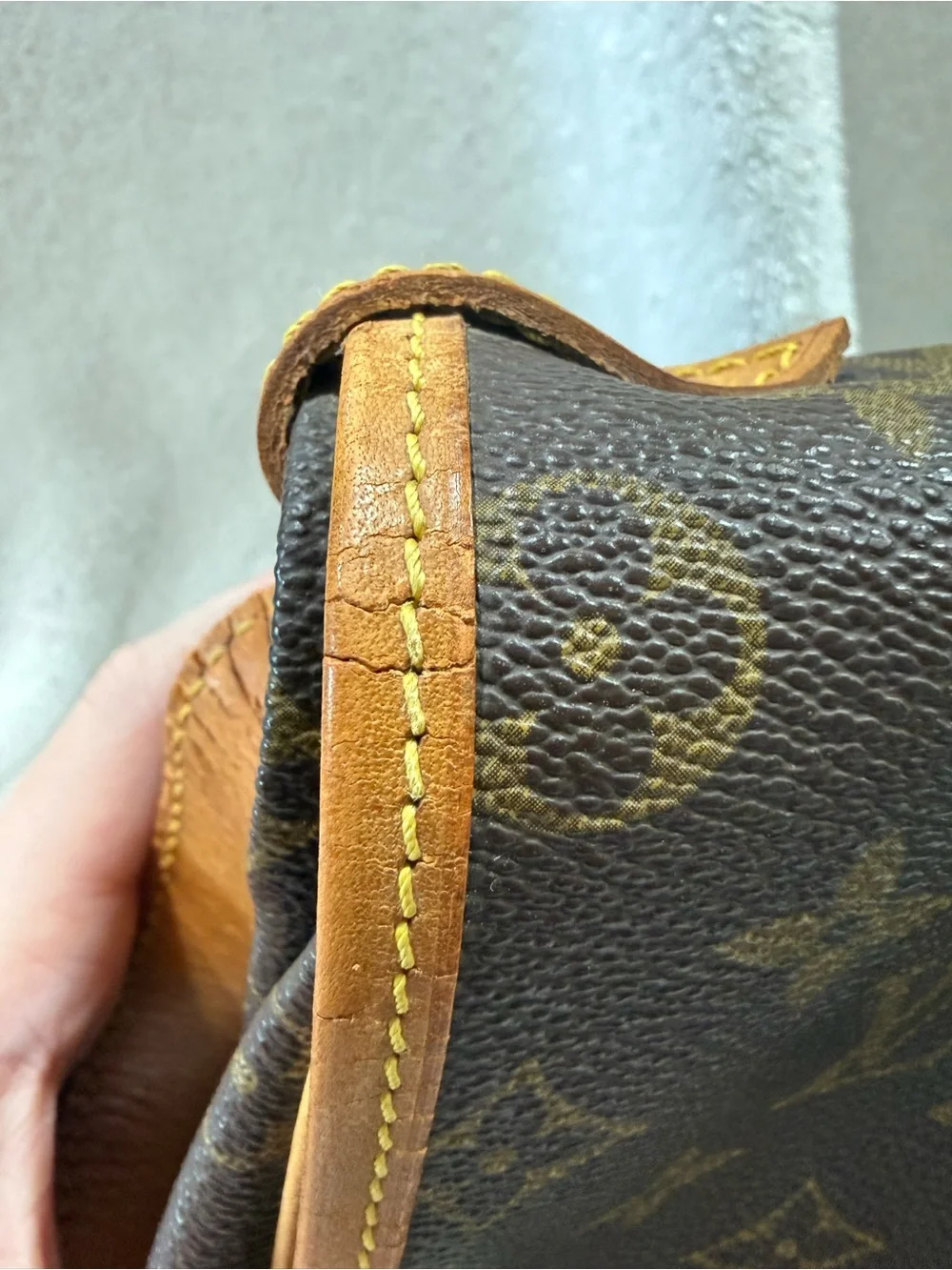 Louis Vuitton classic louis